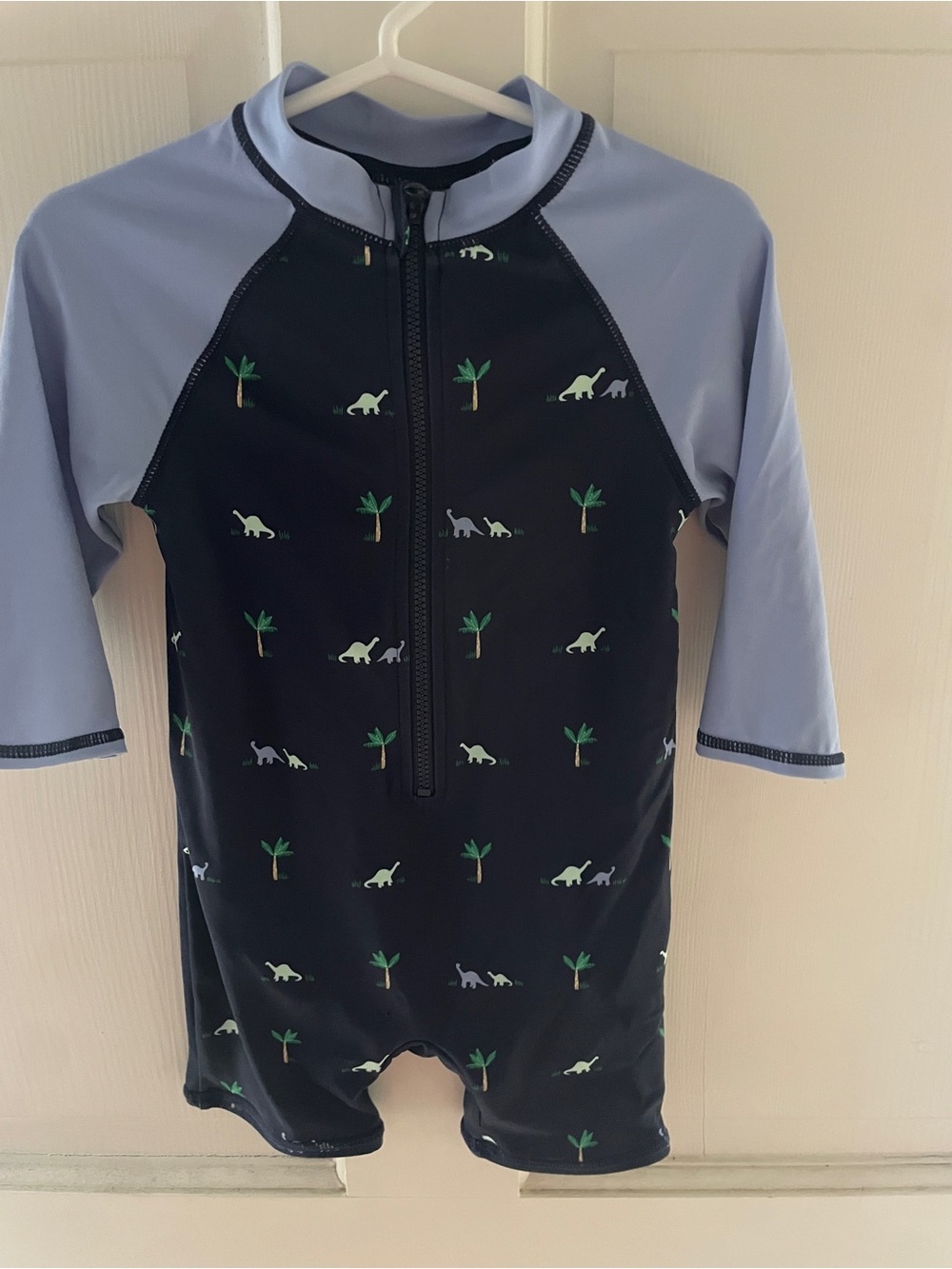 Jamie & Jack Dinosaur Rash Guard One-Piece Swimsuit